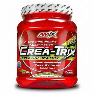 Crea-Trix - Amix 824 g Fruit Punch obraz