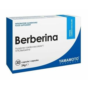 Berberina (pomáhá při hubnutí) - Yamamoto 30 kaps. obraz