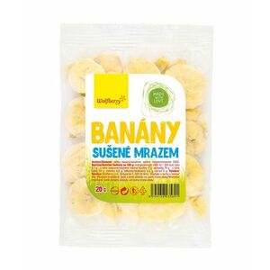 Wolfberry Banány lyofilizované 20 g obraz