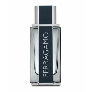 Salvatore Ferragamo Pour Homme Ferragamo toaletní voda pro muže 100 ml obraz