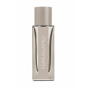 Salvatore Ferragamo Bright Leather toaletní voda pro muže 30 ml obraz