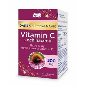 GS Vitamin C 500 mg s echinaceou 70+30 tablet obraz