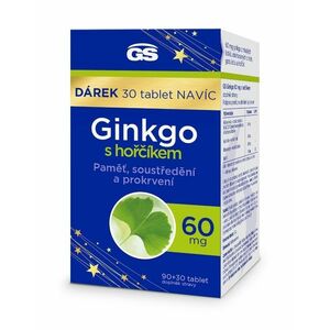 GS Ginkgo 60 mg s hořčíkem 90+30 tablet obraz