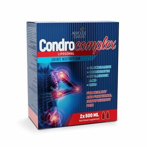 Adelle Davis Condrocomplex Liposomal 2x500 ml obraz