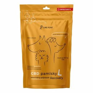 CURE POINT CBD Recovery L Pamlsky pro psy 100 g obraz