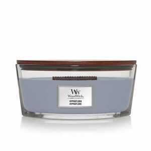 WOODWICK Vonná svíčka loď Hypnoflora 453, 6 g obraz