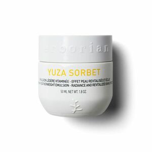 ERBORIAN Antioxidační denní krém Yuza Sorbet 50 ml obraz