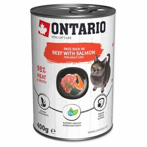 ONTARIO Konzerva hovězí paté s lososem 400 g obraz