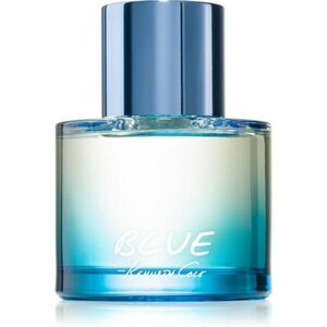 Kenneth Cole Blue toaletní voda pro muže 100 ml obraz