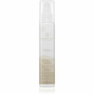 Paul Mitchell Awapuhi Wild Ginger HydroMist Blowout Spray fixační sprej pro dokonalý objem 150 ml obraz