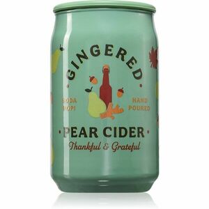 DW Home Soda Pop Gingered Pear Cider vonná svíčka 176 g obraz