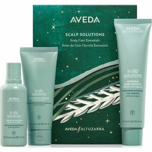 Aveda Holiday Scalp Solutions Exfoliating Essentials dárková sada (pro vlasy postrádající hustotu) obraz