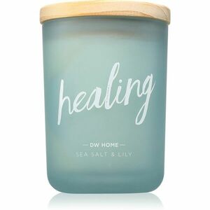 DW Home Zen Healing vonná svíčka 213 g obraz