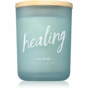 DW Home Zen Healing vonná svíčka 425 g obraz