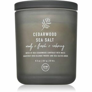 DW Home Prime Cedarwood Sea Salt vonná svíčka 241 g obraz