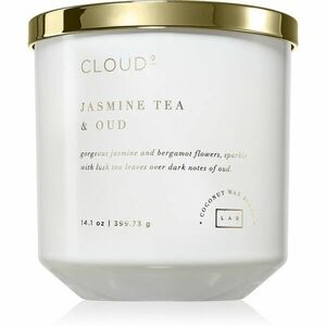 DW Home Cloud 9 Jasmine Tea & Oud vonná svíčka 399 g obraz