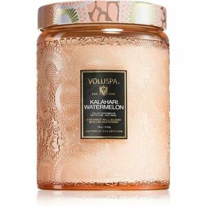 VOLUSPA Japonica Kalahari Watermelon vonná svíčka 510 g obraz