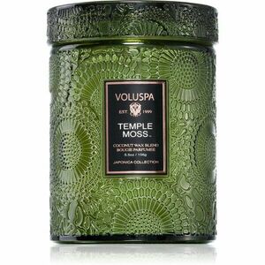 VOLUSPA Japonica Temple Moss vonná svíčka 156 g obraz