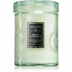 VOLUSPA Japonica Holiday White Cypress vonná svíčka 156 g obraz