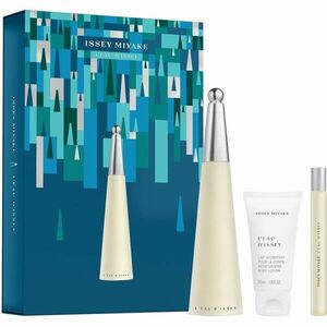 Issey Miyake L'Eau d'Issey toaletní voda pro ženy 100 ml obraz