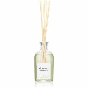 Ambientair The Olphactory Citrus & Shades aroma difuzér Forever 250 ml obraz