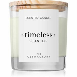 Ambientair The Olphactory Green Field vonná svíčka Timeless 200 g obraz