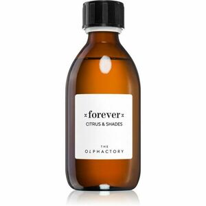 Ambientair The Olphactory Citrus & Shades náplň do aroma difuzérů Forever 250 ml obraz