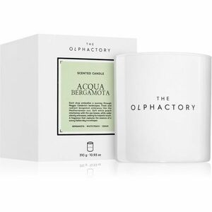 Ambientair The Olphactory White Insignia Acqua Bergamota vonná svíčka 310 g obraz