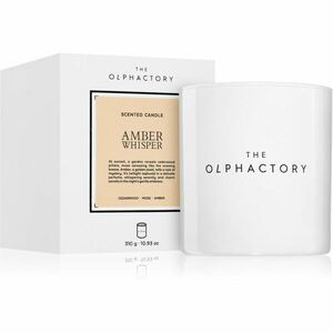 Ambientair The Olphactory White Insignia Amber Whisper vonná svíčka 310 g obraz