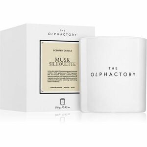 Ambientair The Olphactory White Insignia Musk Silhouette vonná svíčka 310 g obraz