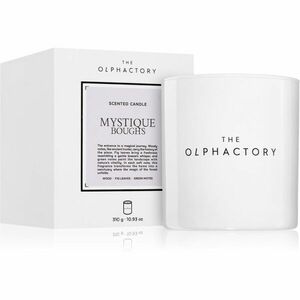 Ambientair The Olphactory White Insignia Mystique Boughs vonná svíčka 310 g obraz