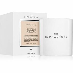 Ambientair The Olphactory White Insignia Silken Tobacco vonná svíčka 310 g obraz