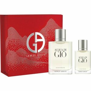 Armani Acqua di Giò toaletní voda pro muže 100 ml obraz