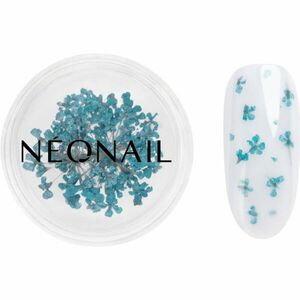 NEONAIL Dried Flowers sušený květ na nehty odstín 05 Turquoise 1 ks obraz