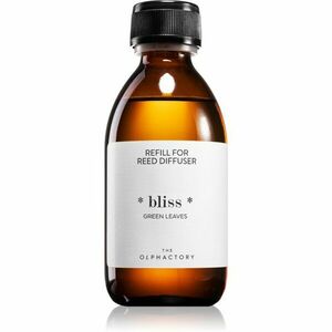 Ambientair The Olphactory Green Leaves náplň do aroma difuzérů Bliss 250 ml obraz