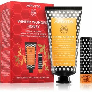 Apivita Hand Care Winter Wonders Honey vánoční dárková sada (Bio-Eco Product, 100% Natural Derived Ingredients) obraz