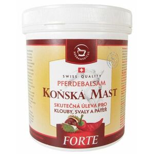 HERBAMEDICUS Koňská mast Forte hřejivá 500 ml obraz