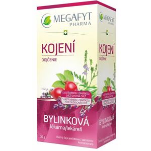 MEGAFYT Bylinková lékárna Kojení sáčky 20 x 1.5 g obraz