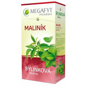 MEGAFYT Bylinková lékárna Maliník sáčky 20 x 1.5 g obraz