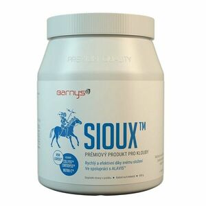 BARNY'S MSM Sioux 600 g obraz