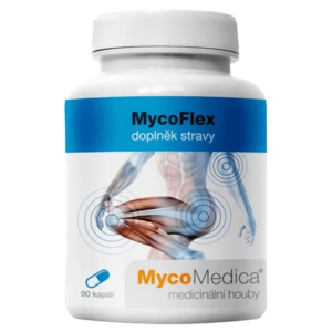 MYCOMEDICA MycoFlex 90 kapslí obraz