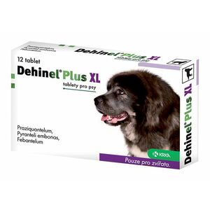 DEHINEL plus XL 12 tbl. 12 ks obraz