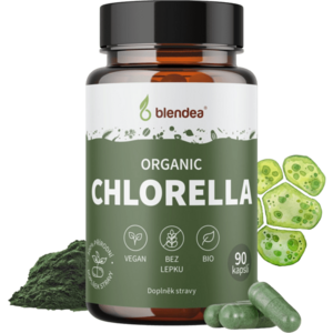 Chlorella obraz