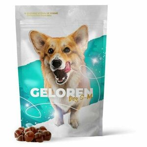 GELOREN Dog S-M 60 tablet obraz