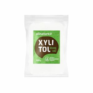 Xylitol - Březový cukr 500g obraz