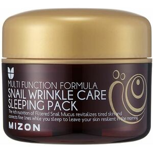 MIZON Snail Wrinkle Care Sleeping Pack 80 ml obraz