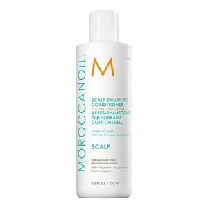 MOROCCANOIL - Scalp – Scalp Balancing Conditioner obraz