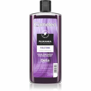 Delia Cosmetics Cameleo Flower Water tónovací barva na vlasy odstín Violet 200 ml obraz