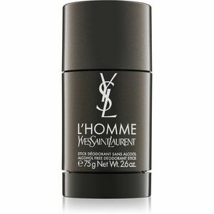 Yves Saint Laurent L'Homme deostick pro muže 75 g obraz