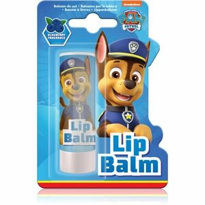 Nickelodeon Paw Patrol Lips balzám na rty pro děti Blueberry 4, 4 g obraz